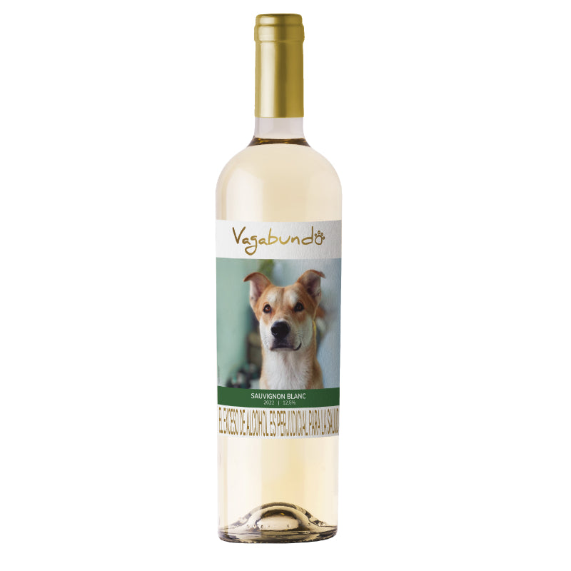SAUVIGNON BLANC